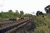  CP 271 Derails @ Buffalo